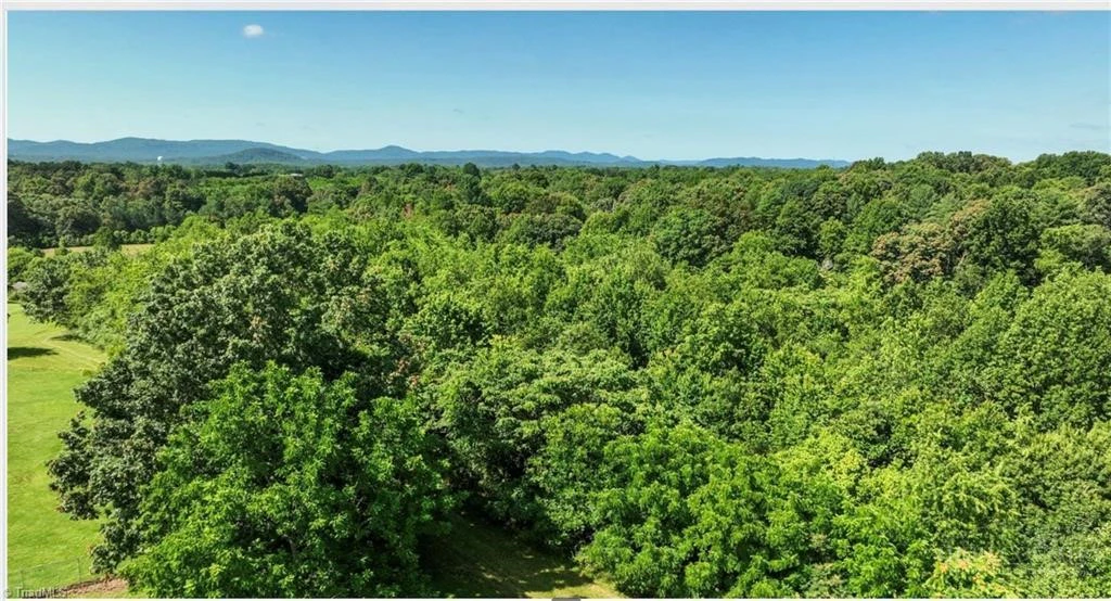 Image number 2 for the current listing