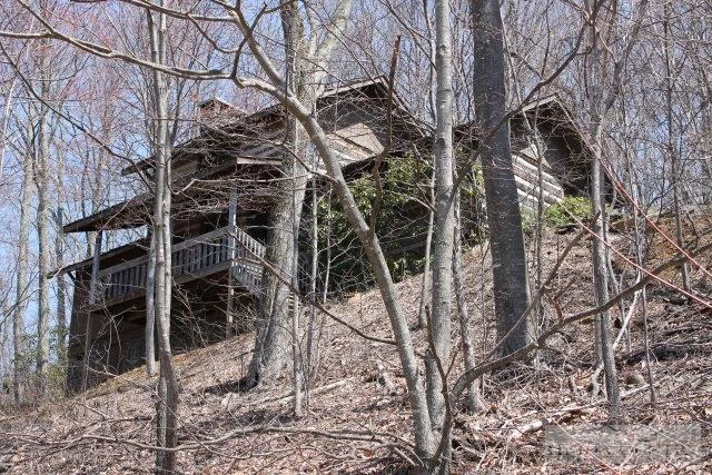 Image number 1 for the current listing