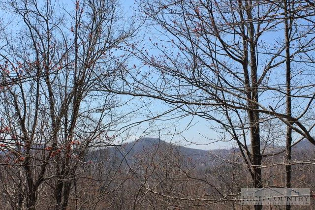 Image number 3 for the current listing
