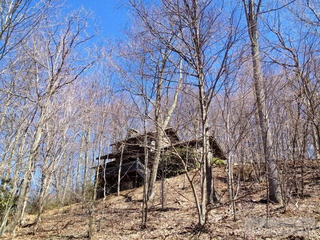 Image number 6 for the current listing