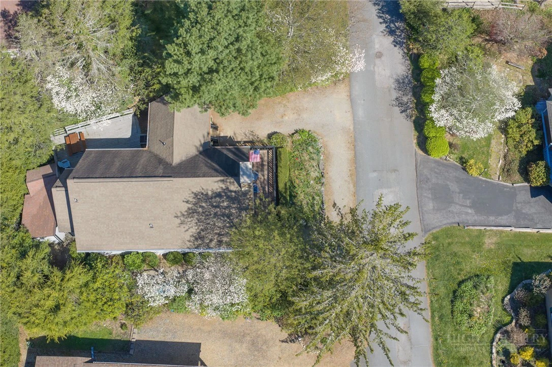 Image number 5 for the current listing