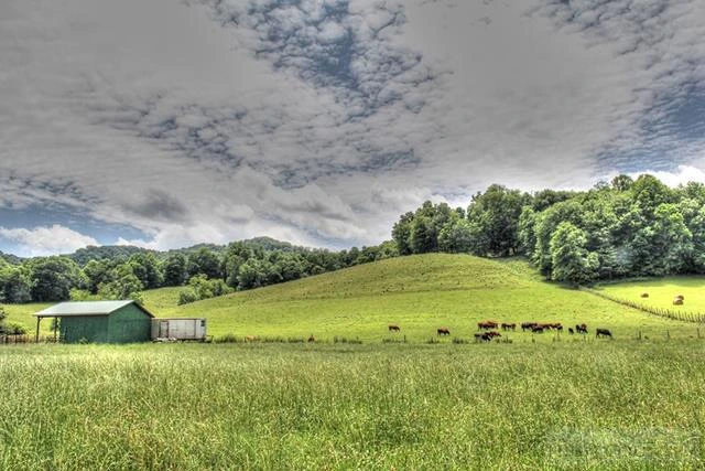 Image number 17 for the current listing