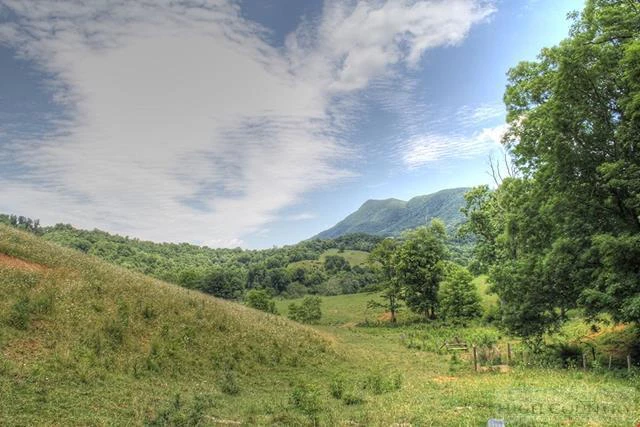 Image number 14 for the current listing