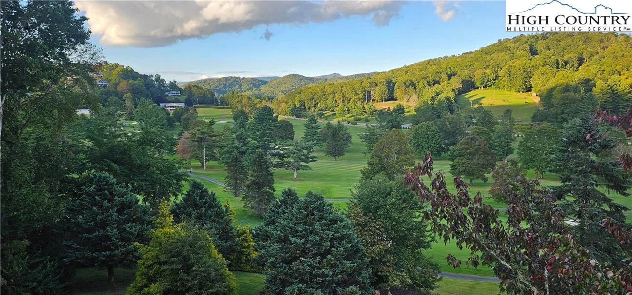 Image number 9 for the current listing
