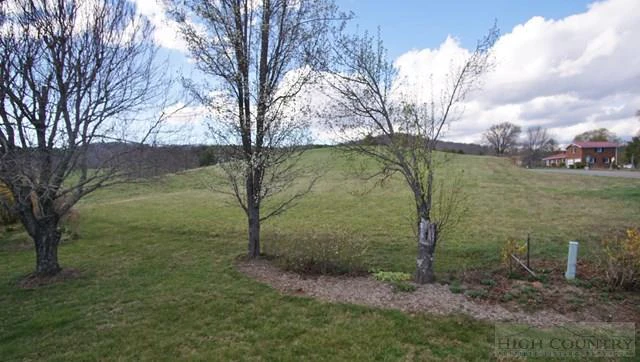 Image number 12 for the current listing