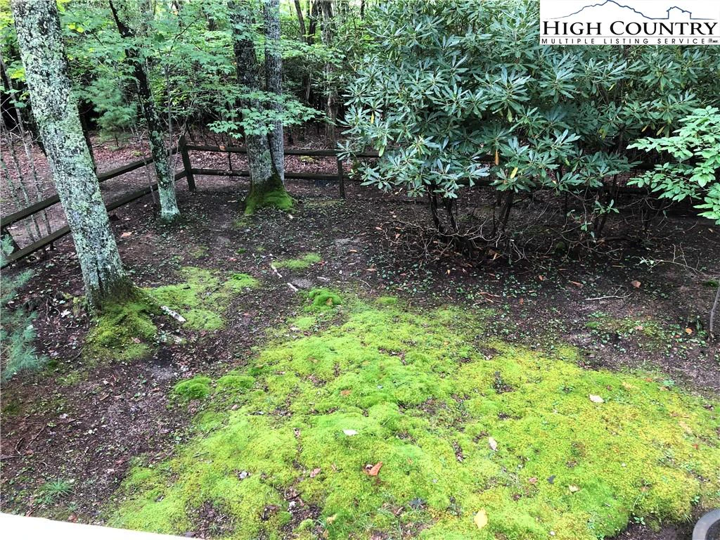 Image number 14 for the current listing