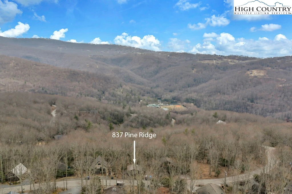 Image number 9 for the current listing
