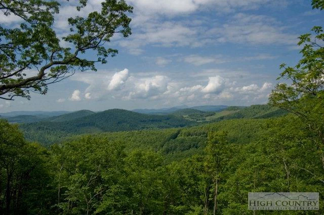Image number 13 for the current listing