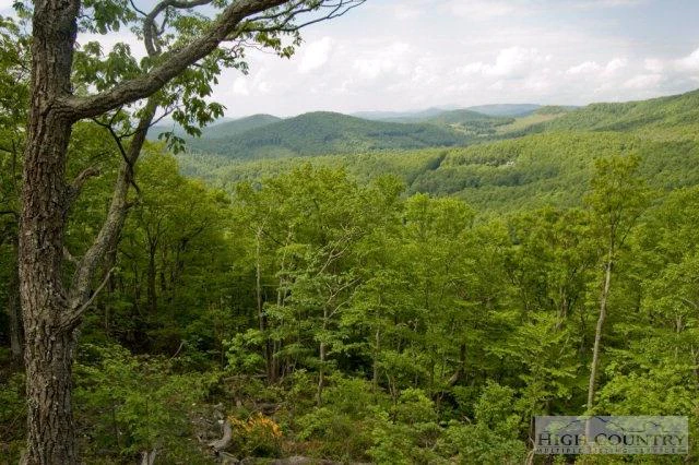 Image number 10 for the current listing