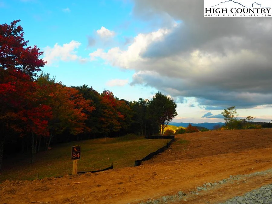 Image number 1 for the current listing