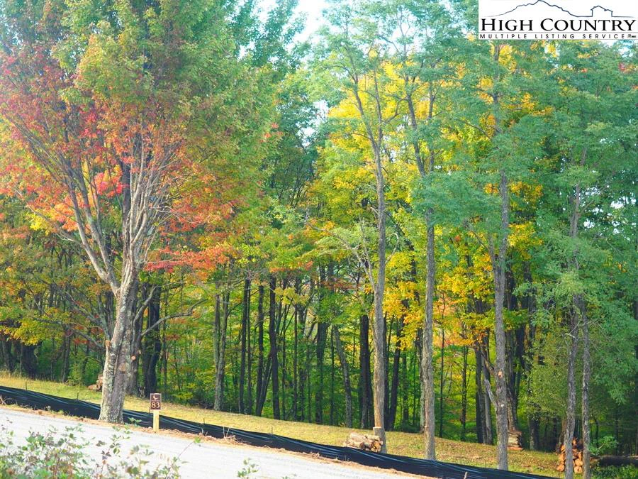 Image number 5 for the current listing
