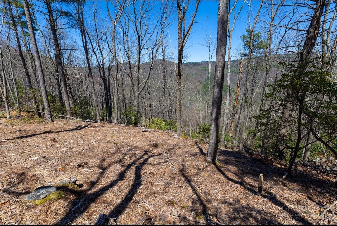 Image number 6 for the current listing