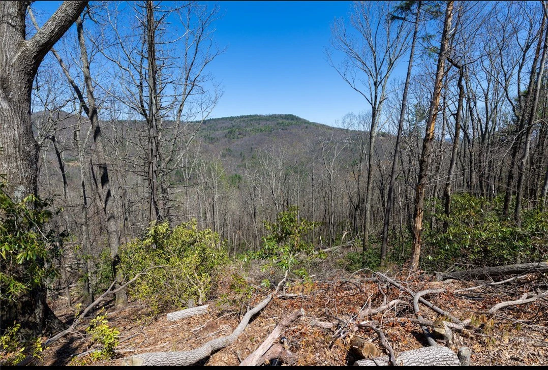Image number 10 for the current listing