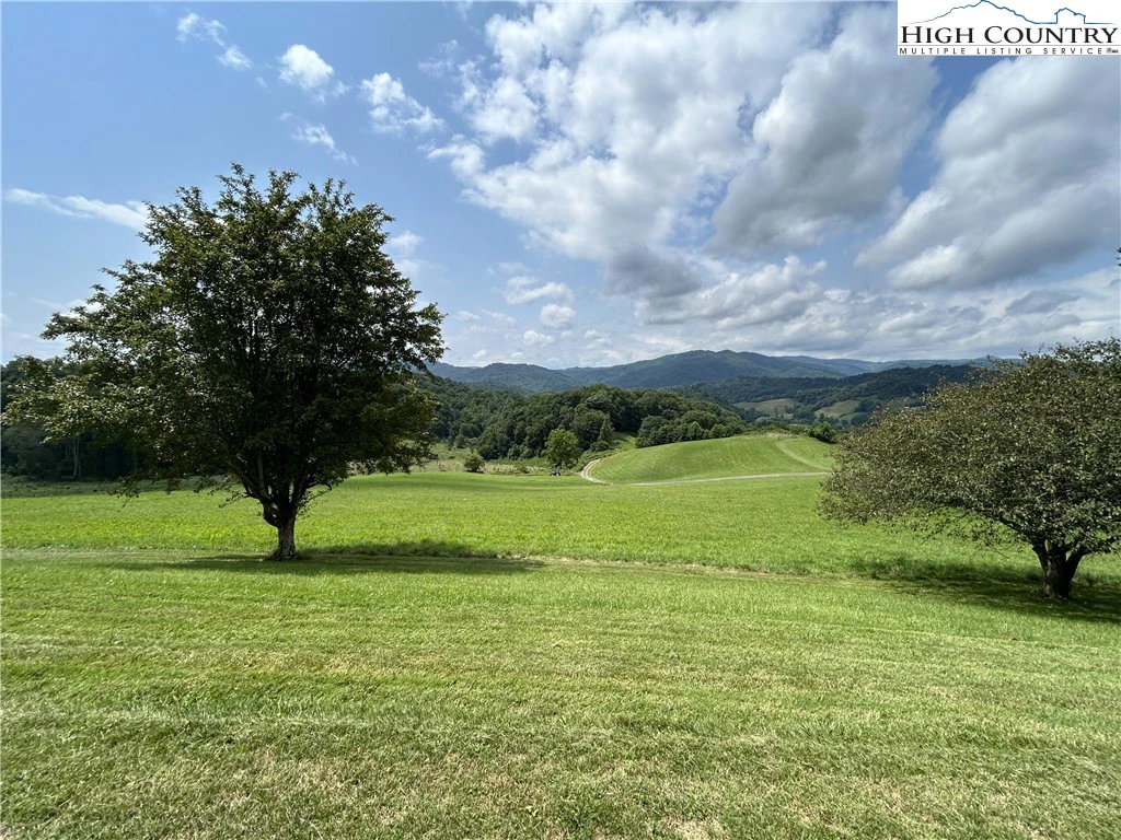 Image number 8 for the current listing
