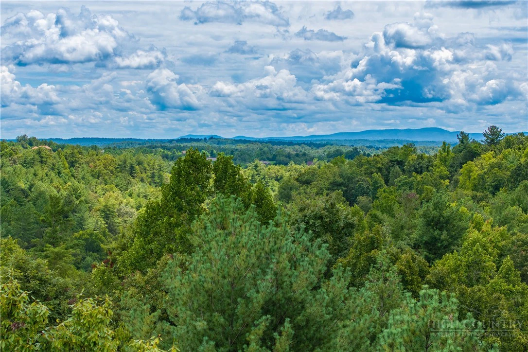 Image number 1 for the current listing