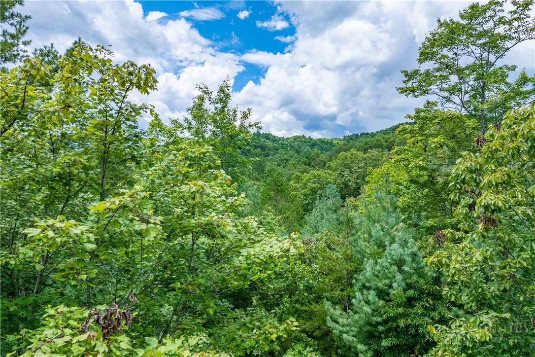 Image number 2 for the current listing