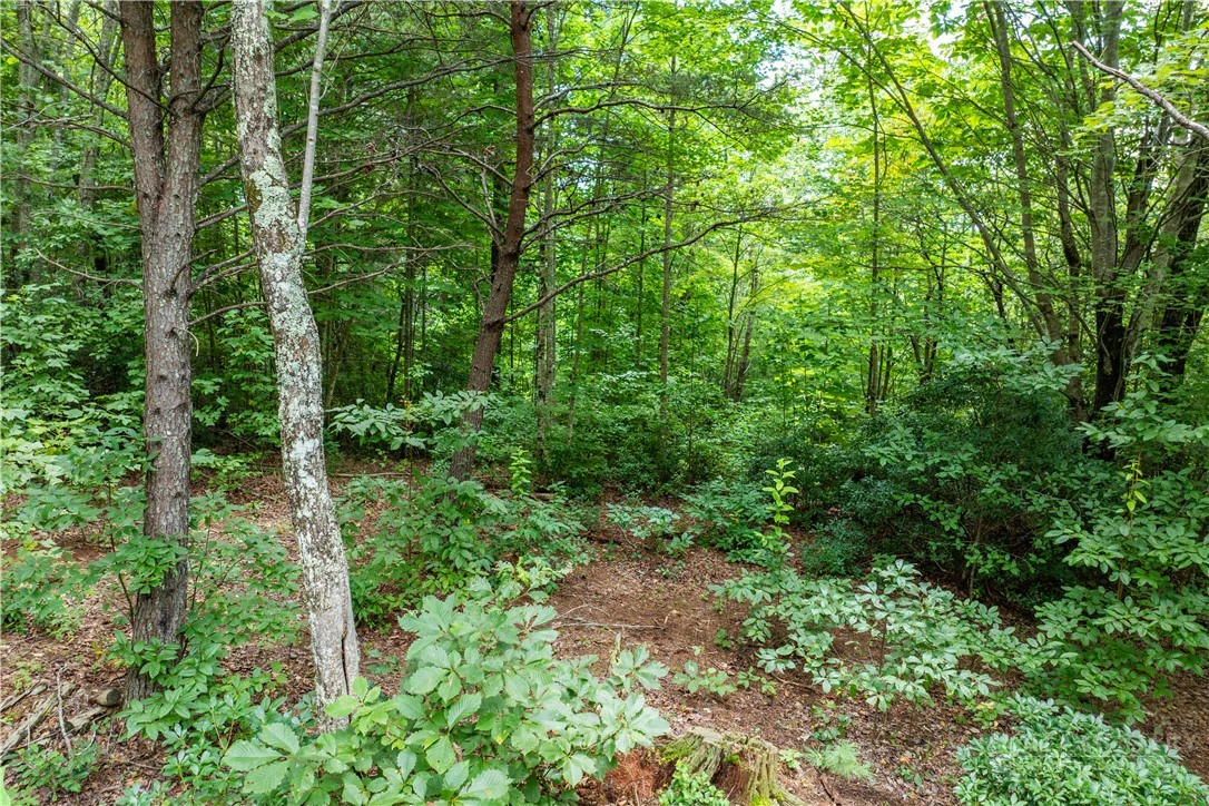 Image number 3 for the current listing