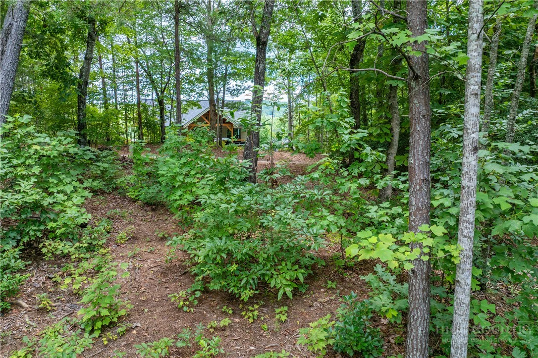 Image number 4 for the current listing