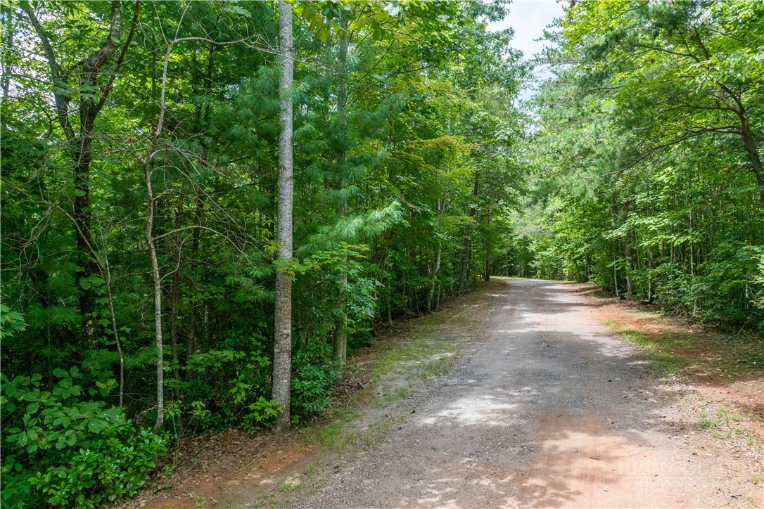 Image number 6 for the current listing