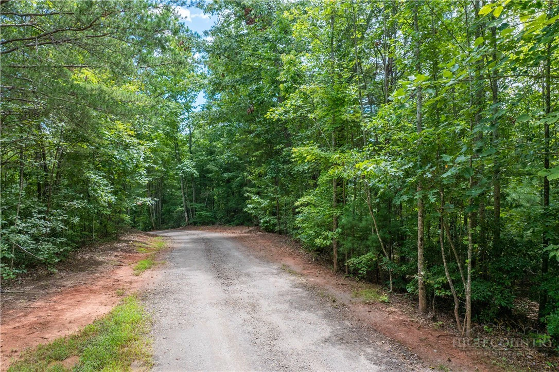 Image number 7 for the current listing