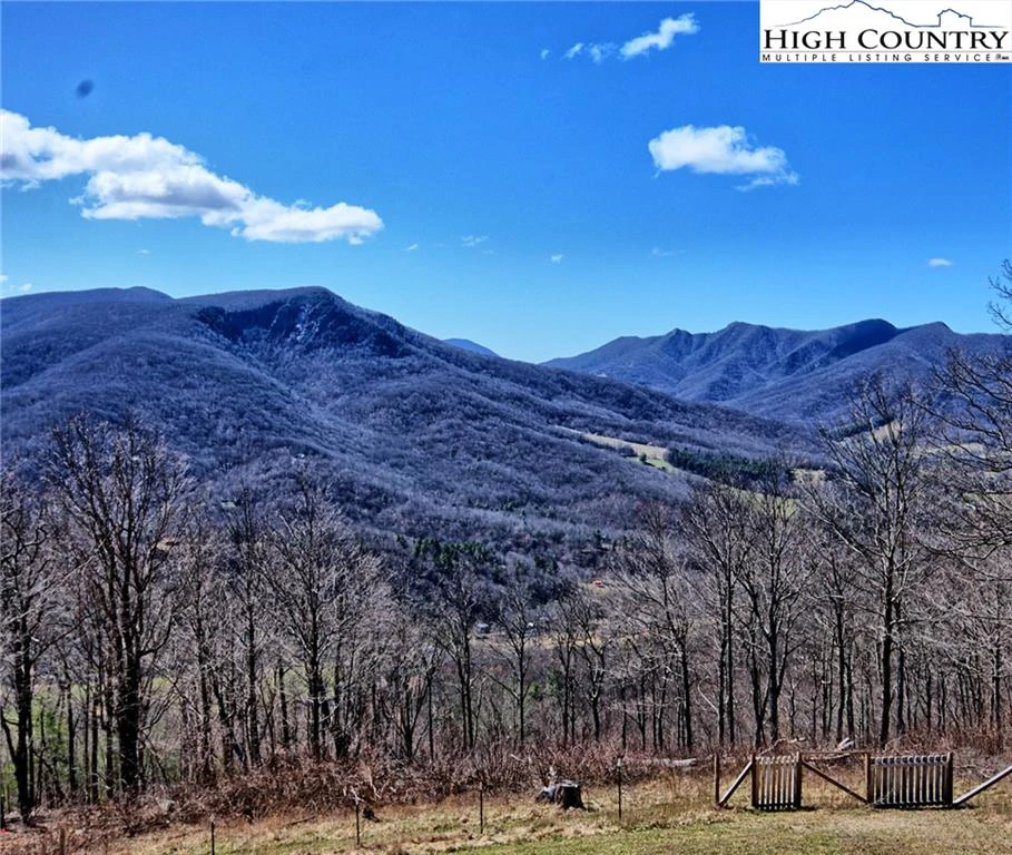 Image number 19 for the current listing