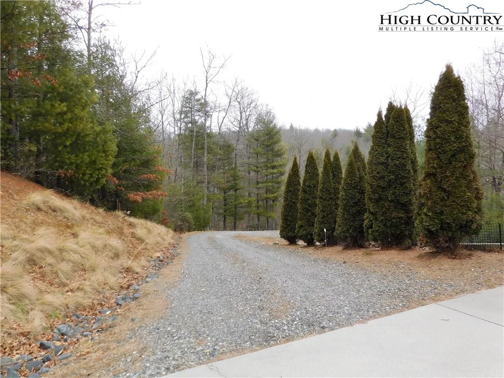 Image number 6 for the current listing