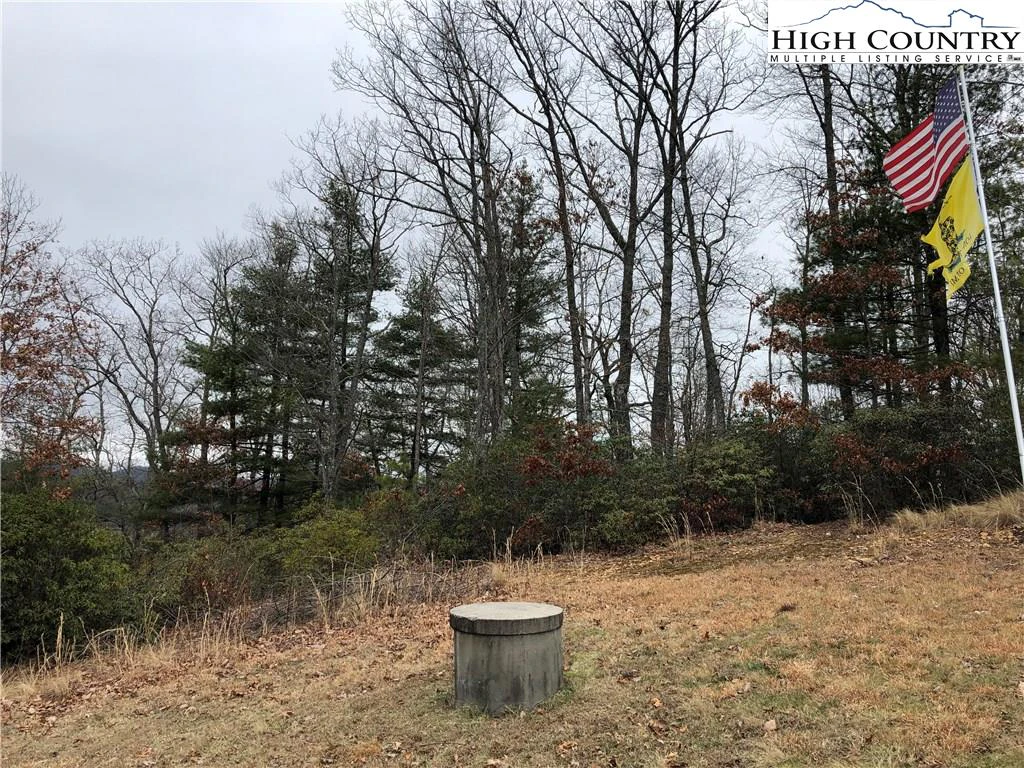 Image number 17 for the current listing