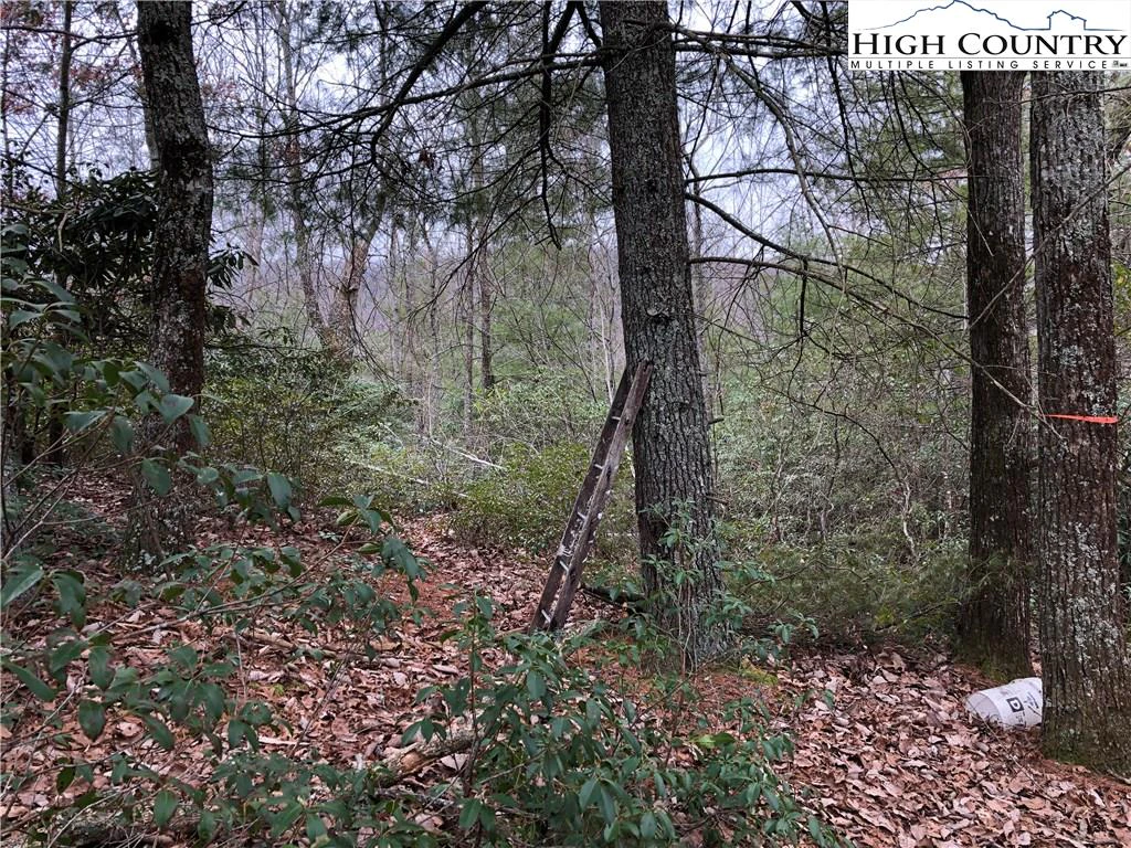 Image number 18 for the current listing