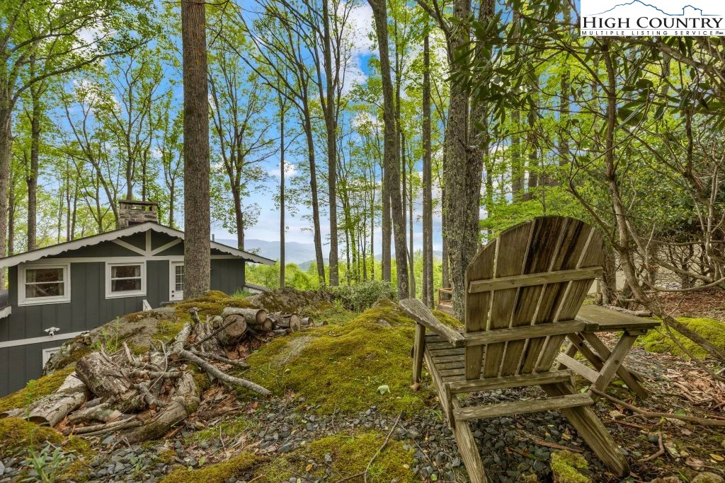 Image number 13 for the current listing