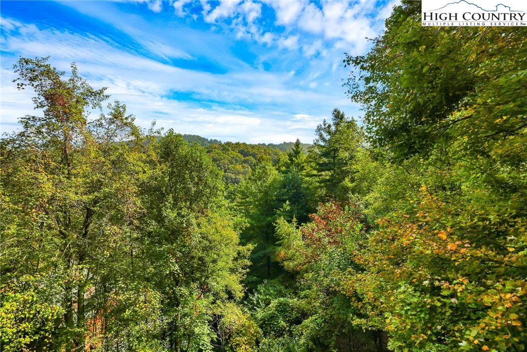 Image number 19 for the current listing