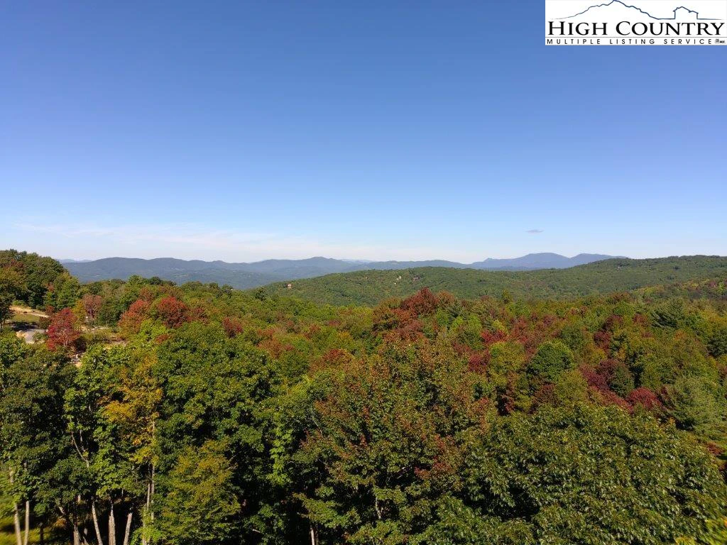 Image number 1 for the current listing