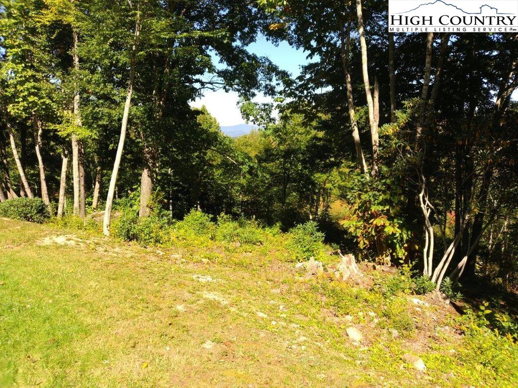 Image number 3 for the current listing