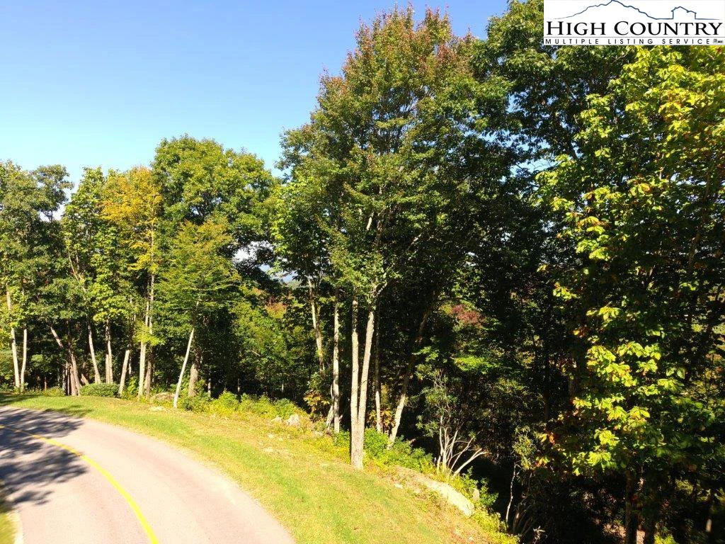 Image number 4 for the current listing