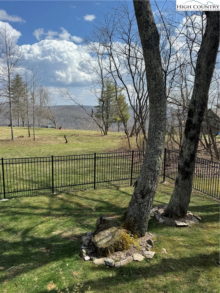 Image number 4 for the current listing