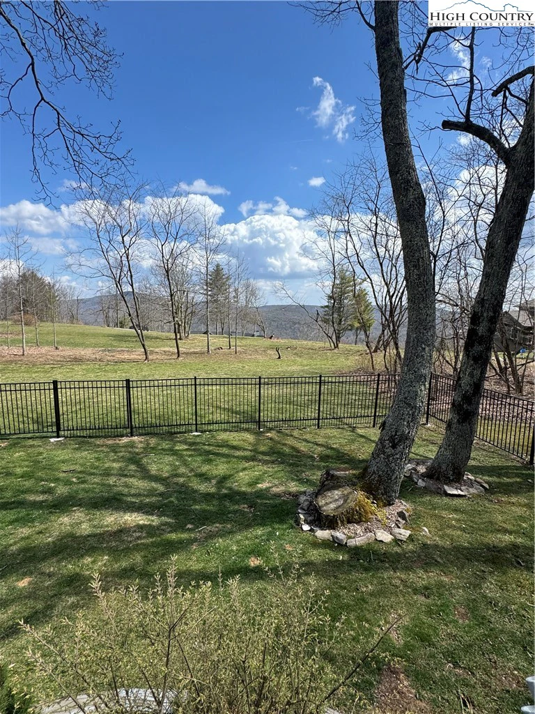 Image number 3 for the current listing