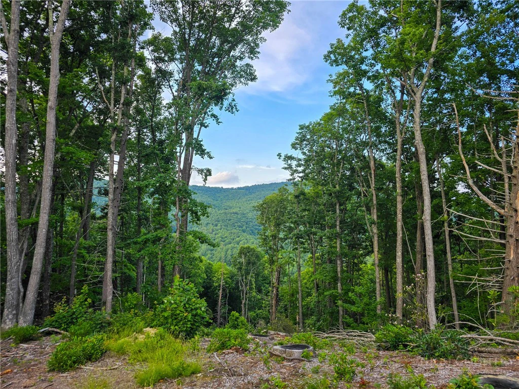 Image number 2 for the current listing