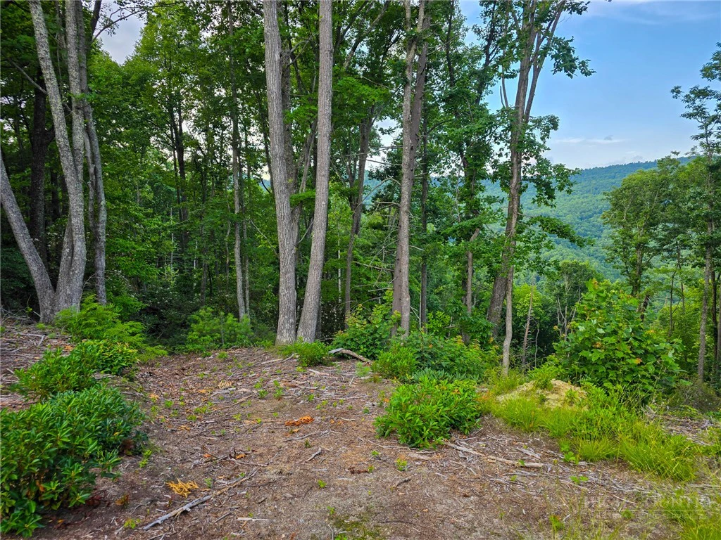 Image number 6 for the current listing