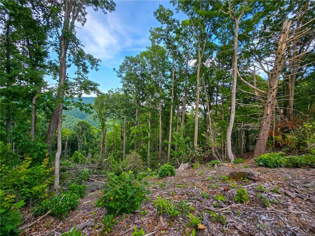 Image number 7 for the current listing