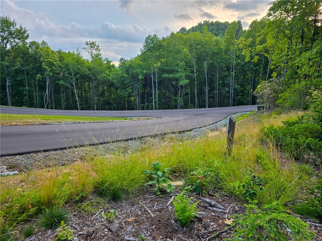 Image number 15 for the current listing