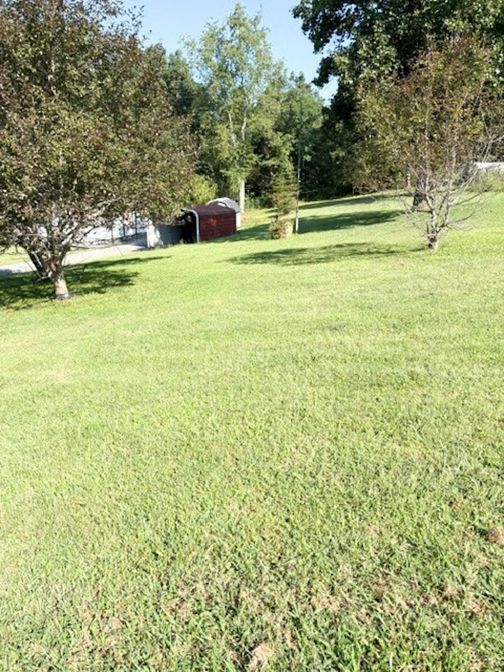 Image number 20 for the current listing