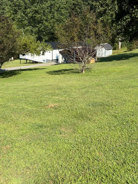 Image number 21 for the current listing