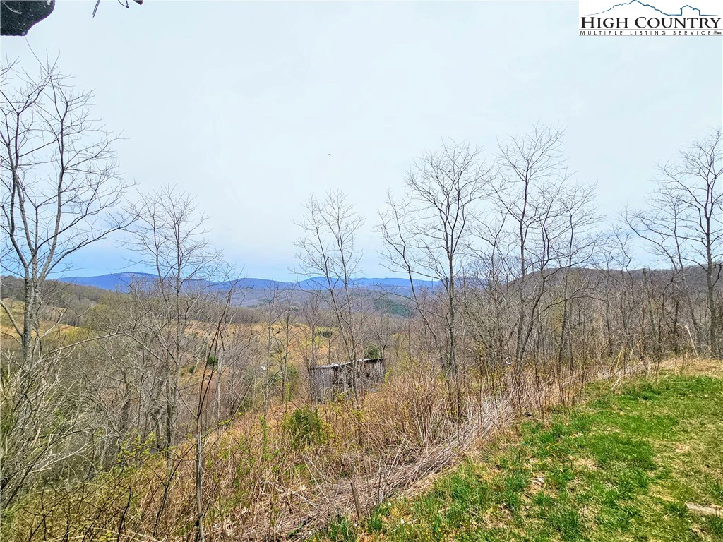 Image number 4 for the current listing