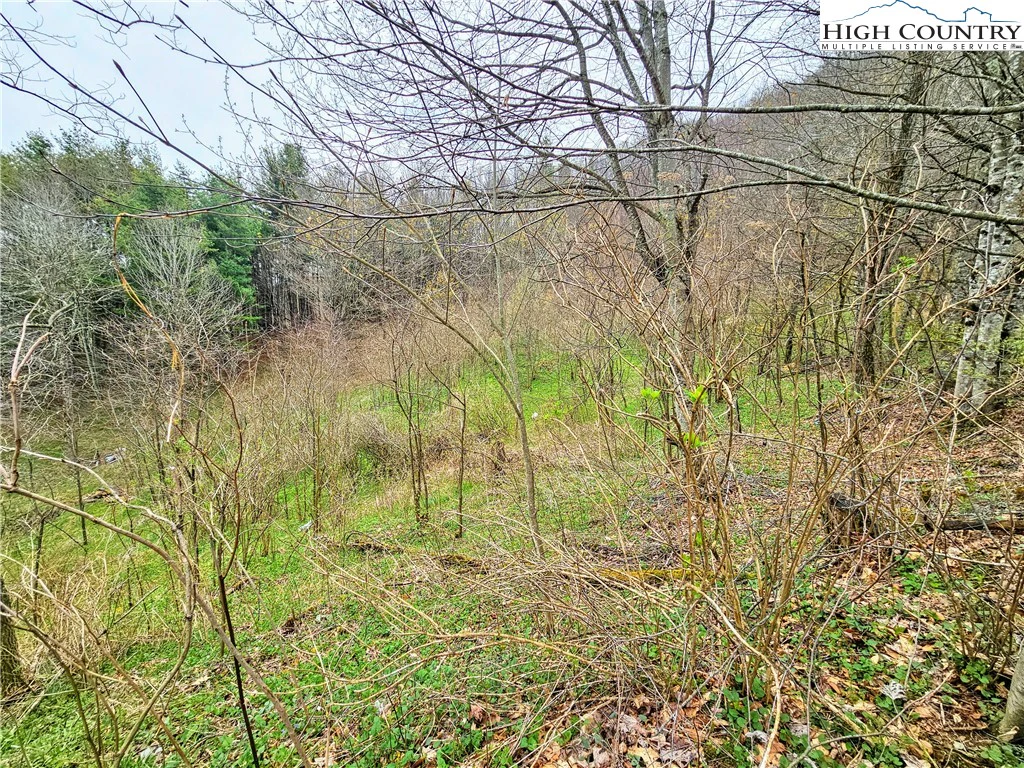 Image number 7 for the current listing