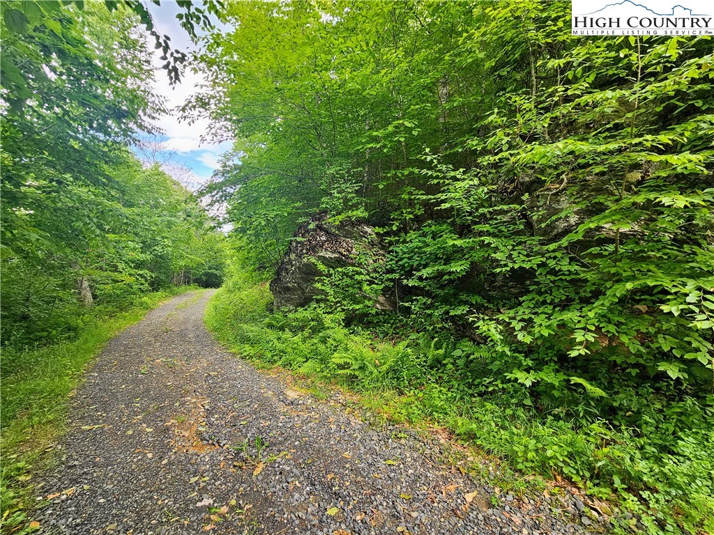 Image number 11 for the current listing