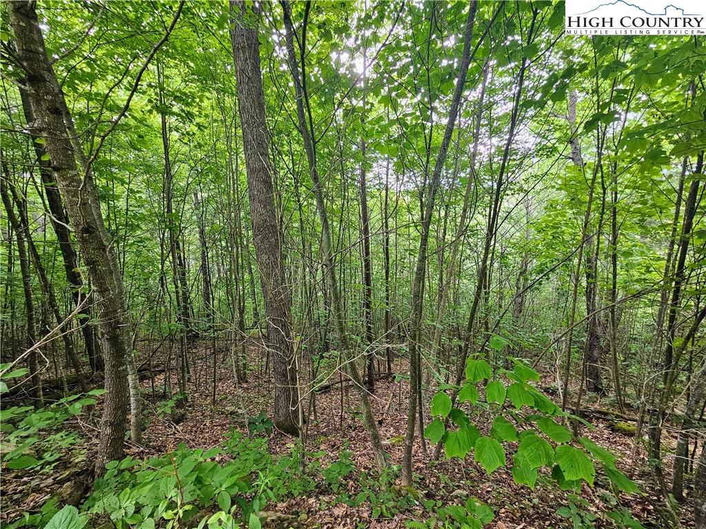 Image number 12 for the current listing