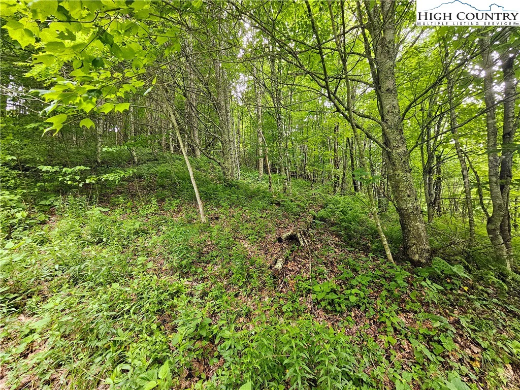 Image number 13 for the current listing