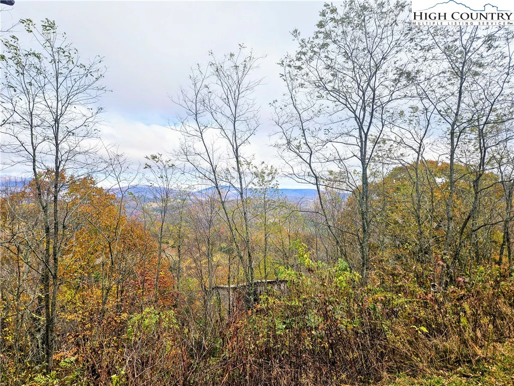 Image number 1 for the current listing