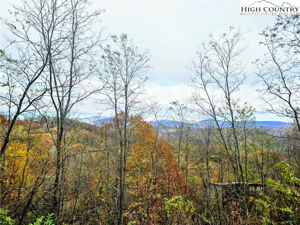 Image number 5 for the current listing