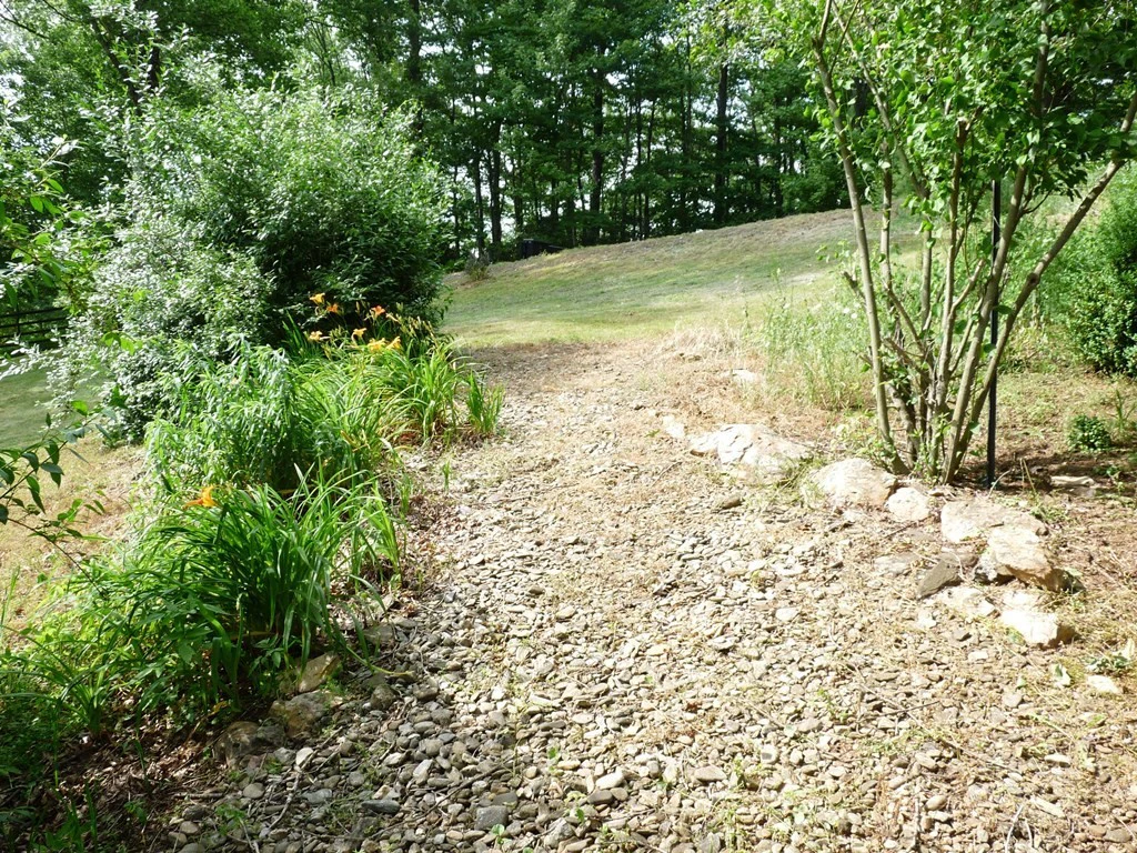 Image number 8 for the current listing