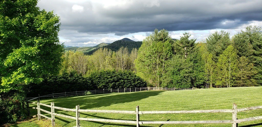 Image number 7 for the current listing